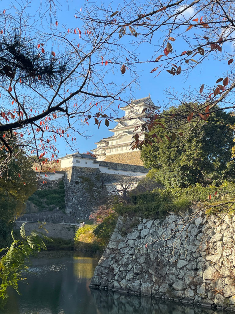 園内から見える姫路城