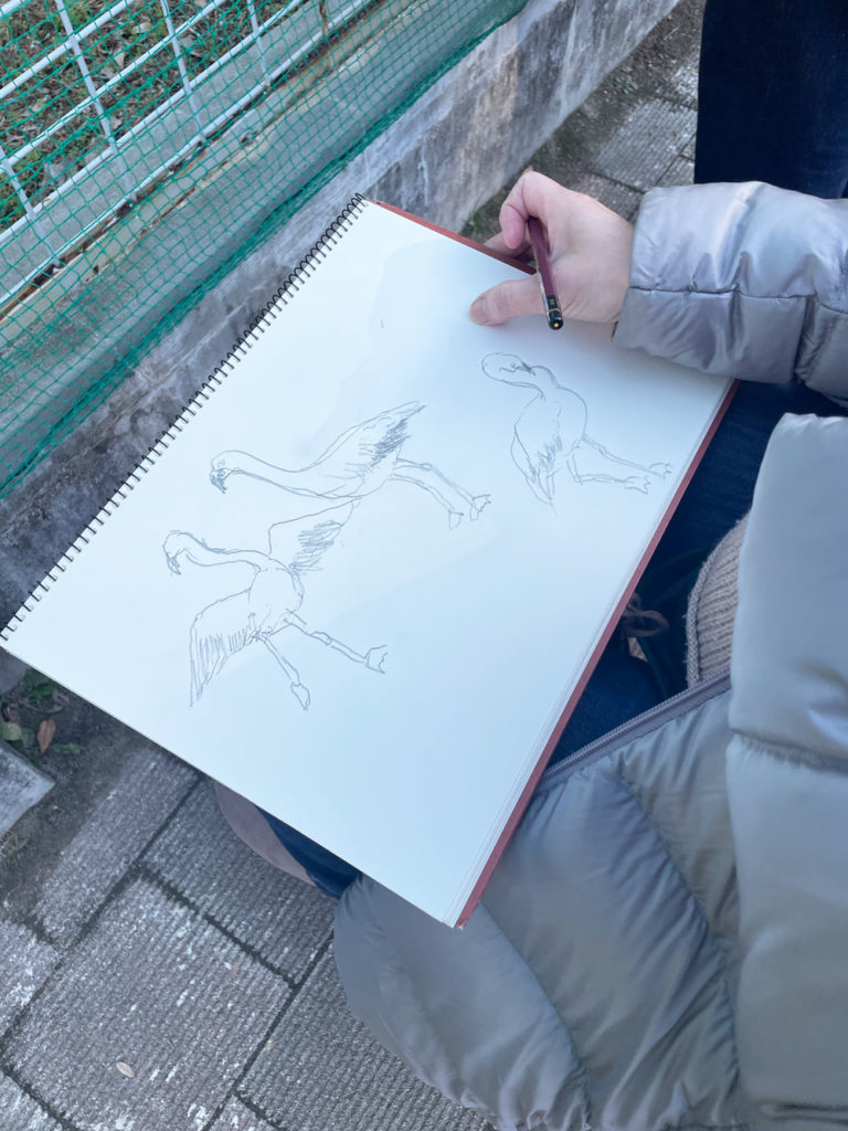 フラミンゴのスケッチ